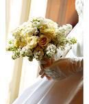 Classic White